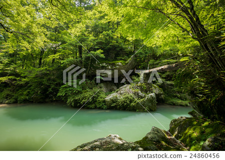 Odaseyama, a fresh green (Uchiko-machi, Kita-gun, Ehime Prefecture) 24860456