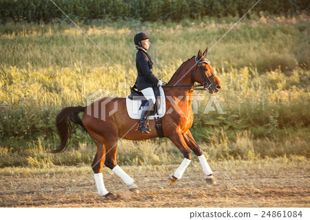 Beautiful elegance woman cowgirl, riding a horse Beautiful elegance woman cowgirl, riding a horse 24861084