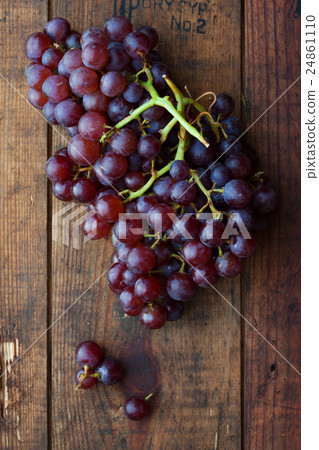 grape grape 24861110