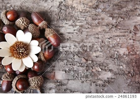 秋季工藝品 24861193