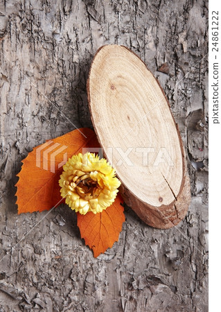 Fall crafts Fall crafts 24861222