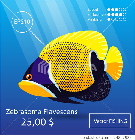 Sea fish illustration Sea fish illustration 24862925