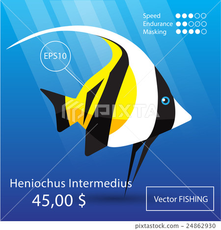 Sea fish illustration 24862930