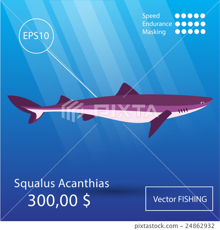 Sea fish illustration Sea fish illustration 24862932