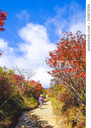 秋天攀登道路和女性1 24863094