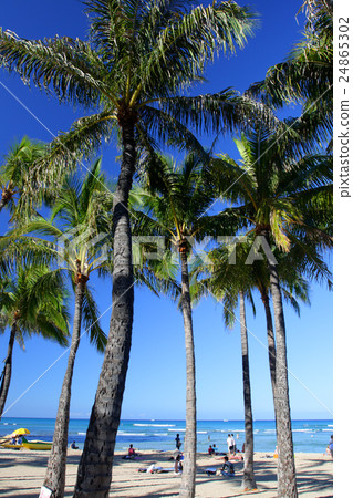 Waikiki Beach, Honolulu, Oahu, Hawaii.. Waikiki Beach, Honolulu, Oahu, Hawaii.. 24865302