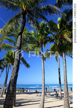 Waikiki Beach, Honolulu, Oahu, Hawaii.. 24865303