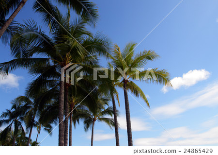 Waikiki Beach, Honolulu, Oahu, Hawaii.. Waikiki Beach, Honolulu, Oahu, Hawaii.. 24865429