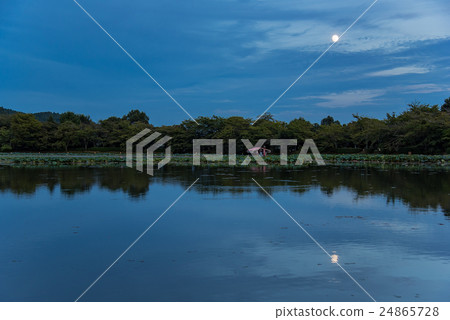 Evening of the Moon moon at the Moon of the Mid-Autumn in Kyoto Temple moon viewing boat 24865728
