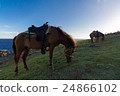 與那國馬和太平洋 24866102