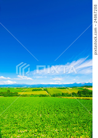 山風景Hata Biei Kamifurano Furano 24867208