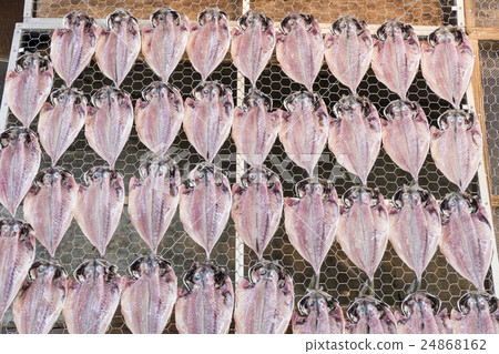 Sunlight sun rain 24868162