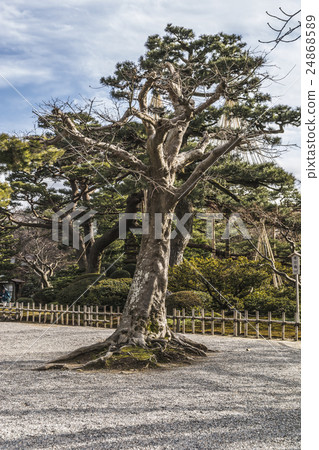 Kanazawa and the sixth park 24868589
