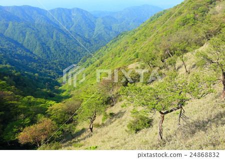 Tanzawa · Yushin Valley of fresh green Tanzawa · Yushin Valley of fresh green 24868832