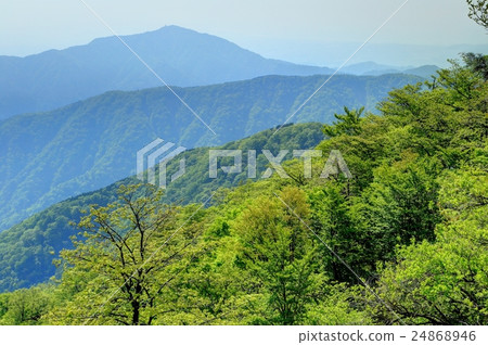 Oyama seen from Tanzawa Main ridgeline of fresh green Oyama seen from Tanzawa Main ridgeline of fresh green 24868946