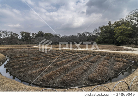 岡山後樂園 24869049
