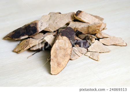 Trigonostemon reidioides Kurz Craib isolated Trigonostemon reidioides Kurz Craib isolated 24869313