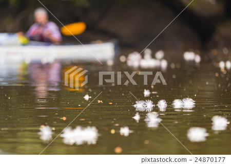 Sagaribana和皮划艇 24870177