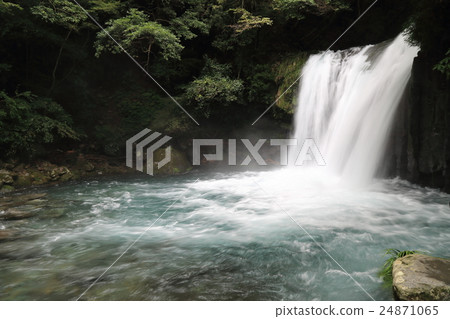Kawazu Nanakitake Hatsunei瀑布 Kawazu Nanakitake Hatsunei瀑布 24871065