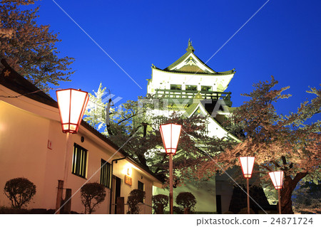 橫手公園夜景櫻桃點亮 橫手公園夜景櫻桃點亮 24871724