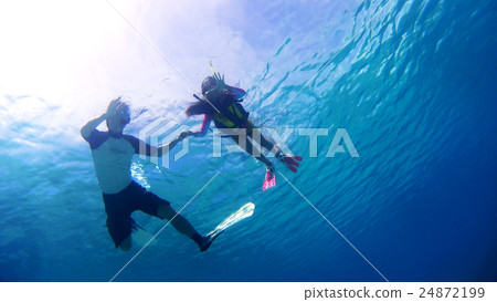 Tokashikijima島，沖繩島的水下攝影與父母子女的熱帶魚的觀察 24872199
