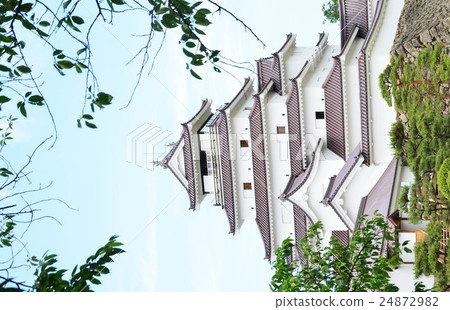 Tsurugajo (Fukushima) Tsurugajo (Fukushima) 24872982