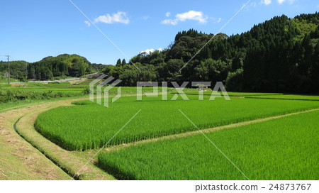 國家景觀 24873767