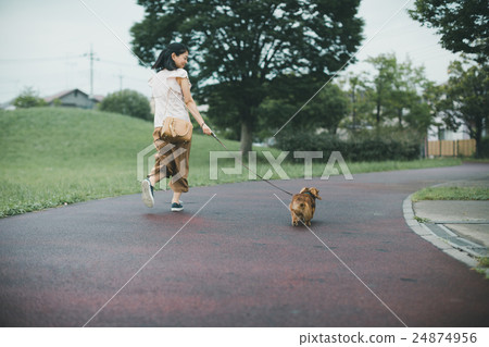 dog, dogs, female 24874956