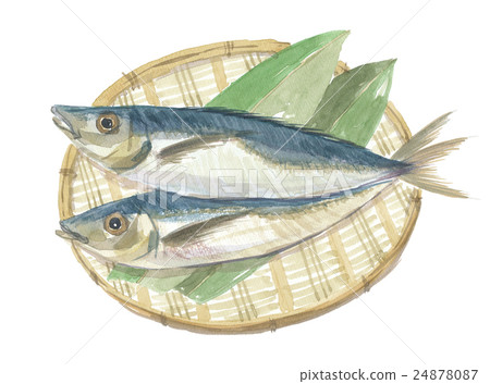 Horse mackerel Horse mackerel 24878087