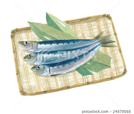 Sardine sardines Sardine sardines 24878088