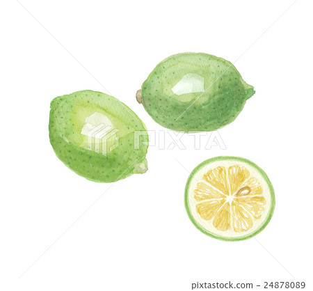 Green lemon Green lemon 24878089