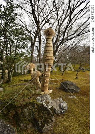 Sendu皇宮套房 Sendu皇宮套房 24878193