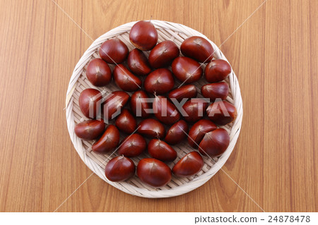 栗子 栗子 24878478