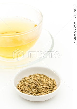Yarrow：西洋蓍草 24878753