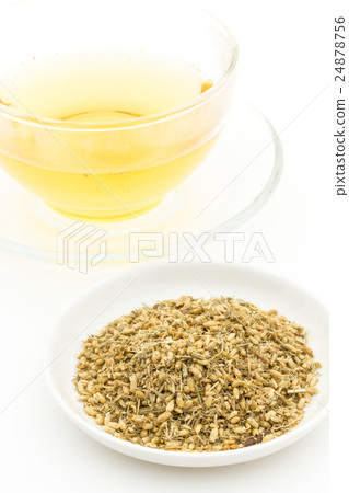 Yarrow: Yarrow tea 24878756