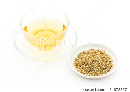 Yarrow：西洋蓍草 24878757