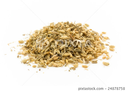 Yarrow (Yarrow): Yarrow 24878758