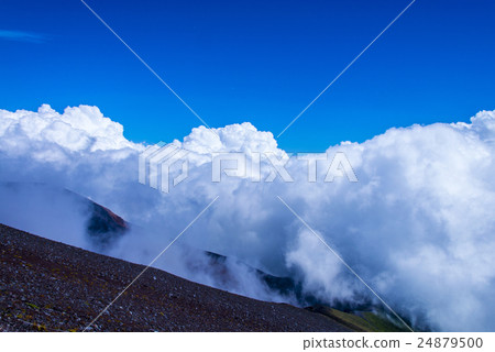 Fuji and the sea of clouds Fuji and the sea of clouds 24879500