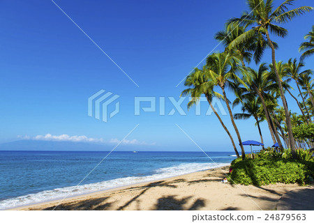 Kaanapali Beach 24879563