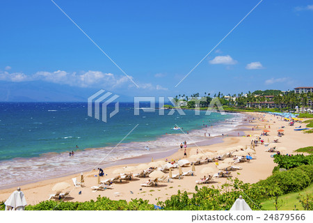 威雷亞·海灘 24879566