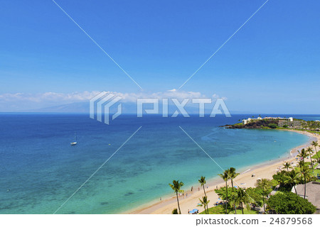 卡納帕里海灘 24879568