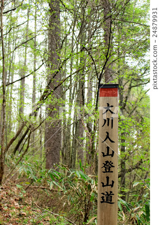 長野縣Okawayama山道入口招牌 長野縣Okawayama山道入口招牌 24879931
