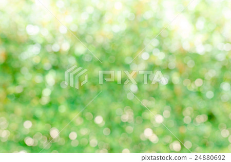 Nature light bokeh background, abstract defocused. 24880692