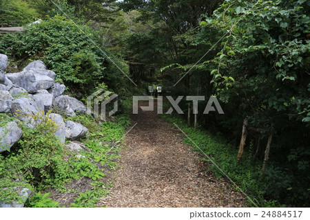 高知縣津野町四國喀斯特Tenji高地療法路 24884517