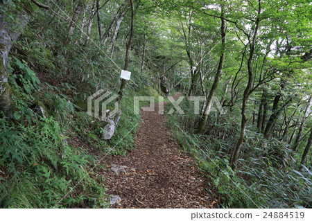 高知縣津野町四國喀斯特Tenji高地療法路 高知縣津野町四國喀斯特Tenji高地療法路 24884519
