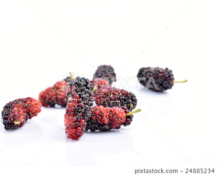 fresh Mulberry on white fresh Mulberry on white 24885234