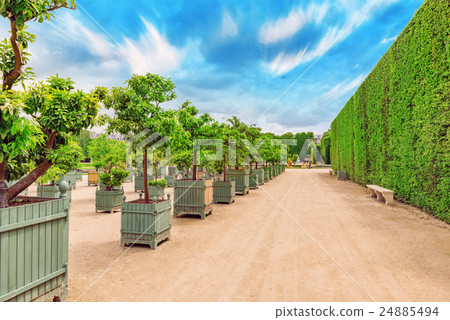 Beautiful Garden in a Famous Palace of Versailles 24885494