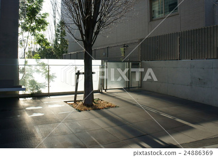Backlight Terrace 24886369