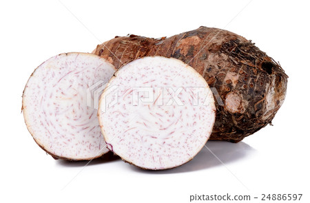 taro isolated on the white background taro isolated on the white background 24886597