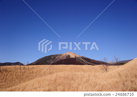 A landscape of Seta's highlands 24886710